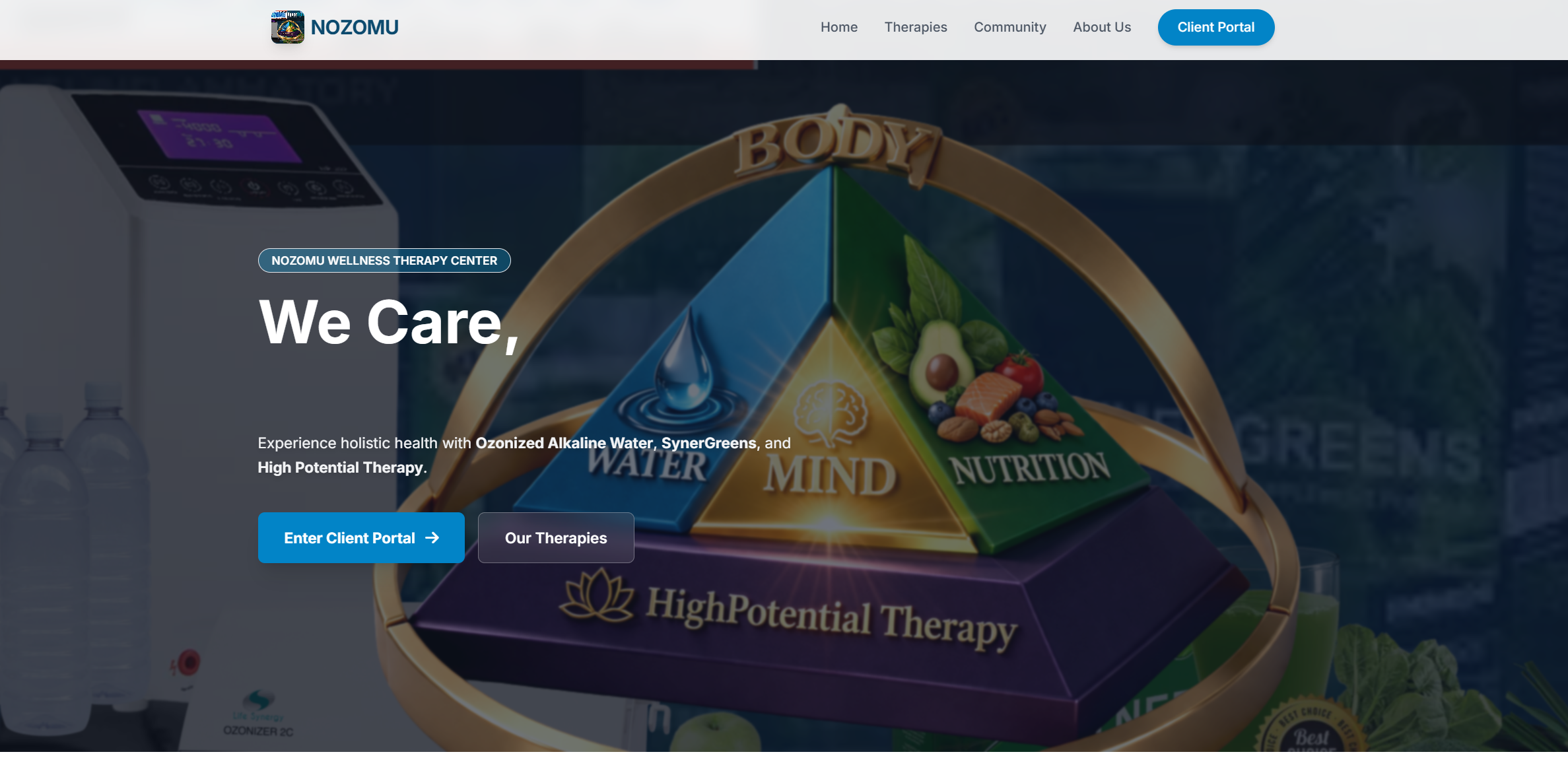 Nozomu Wellness Therapy Center website homepage
